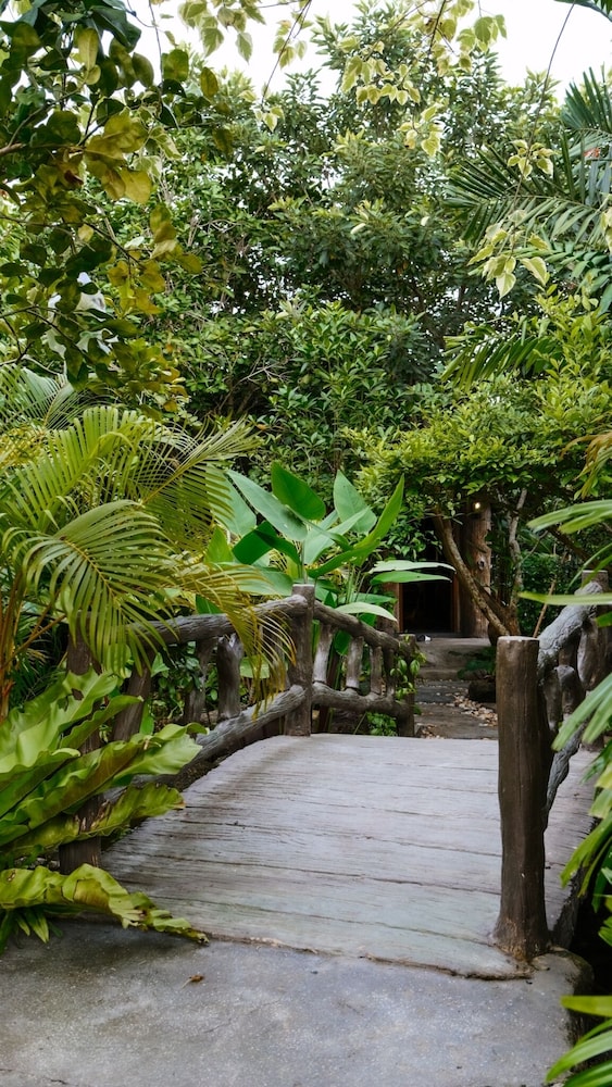 Lush Inn Phuket