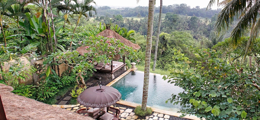 Villa Ria Sayan Ubud view 2