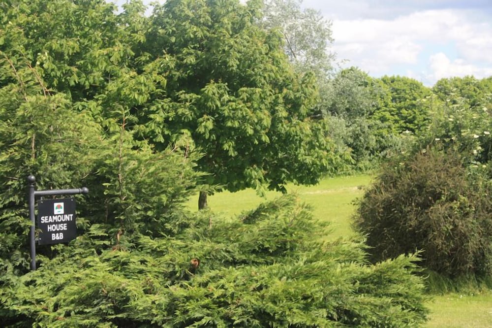 Seamount House BB - Property Image 6