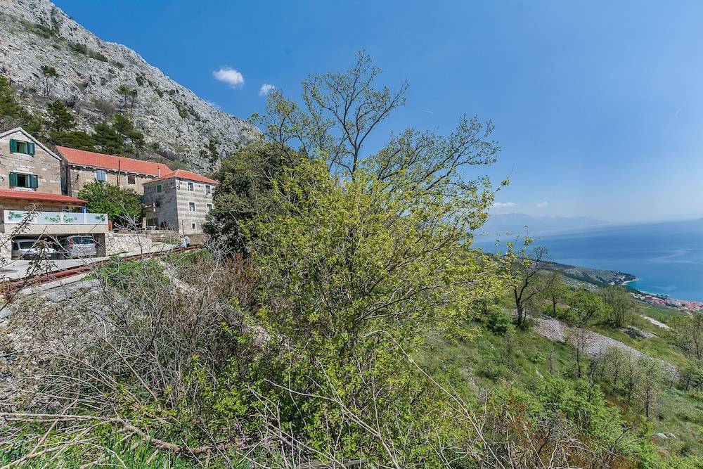 House Darijo