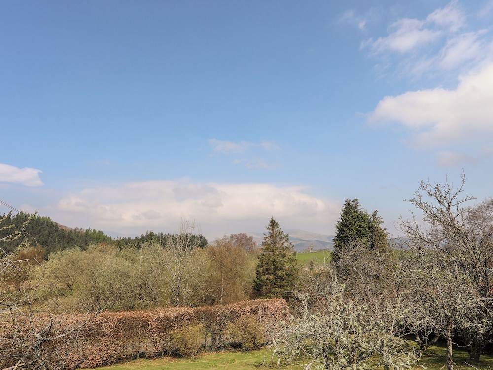 Gilfachwydd