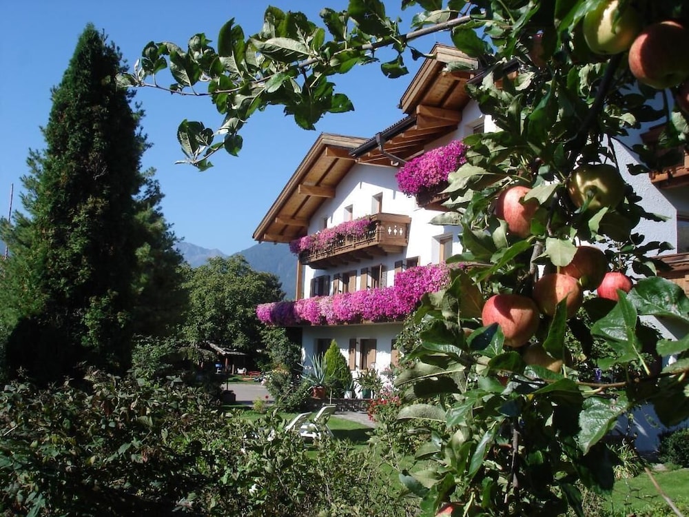 Photo 21
