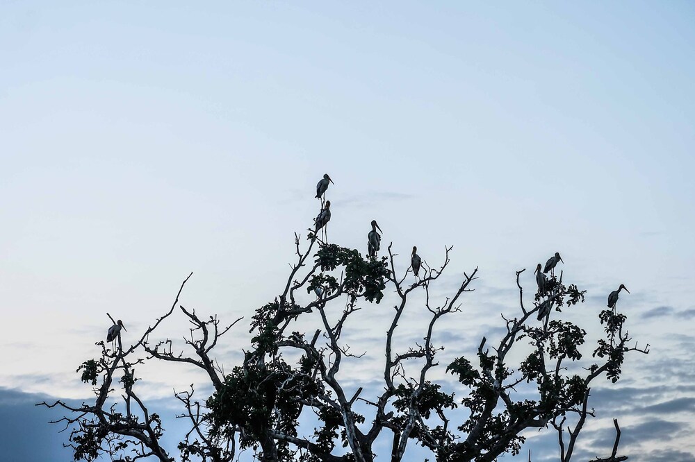 Photo 42