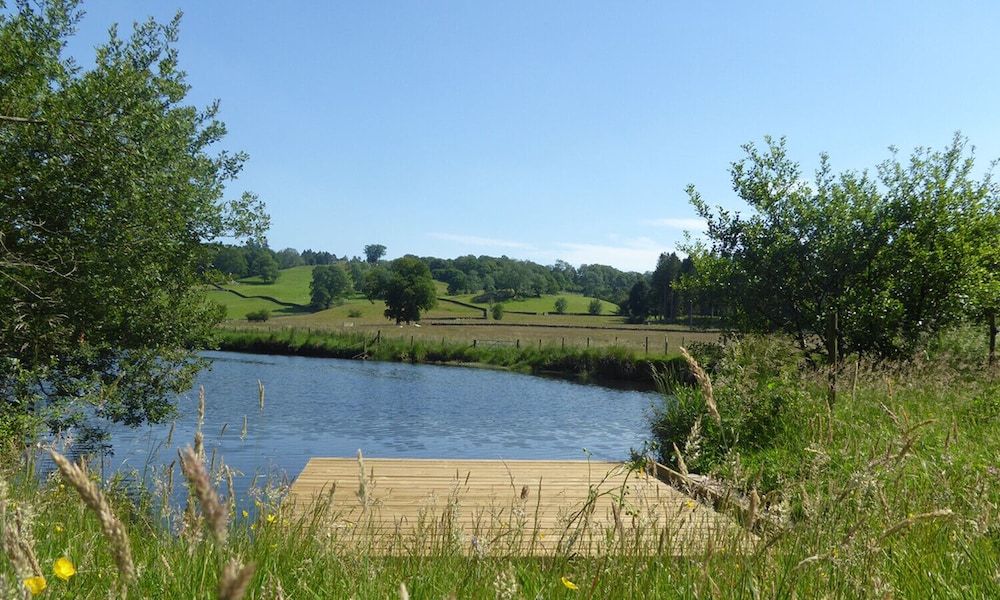 Grass Ings