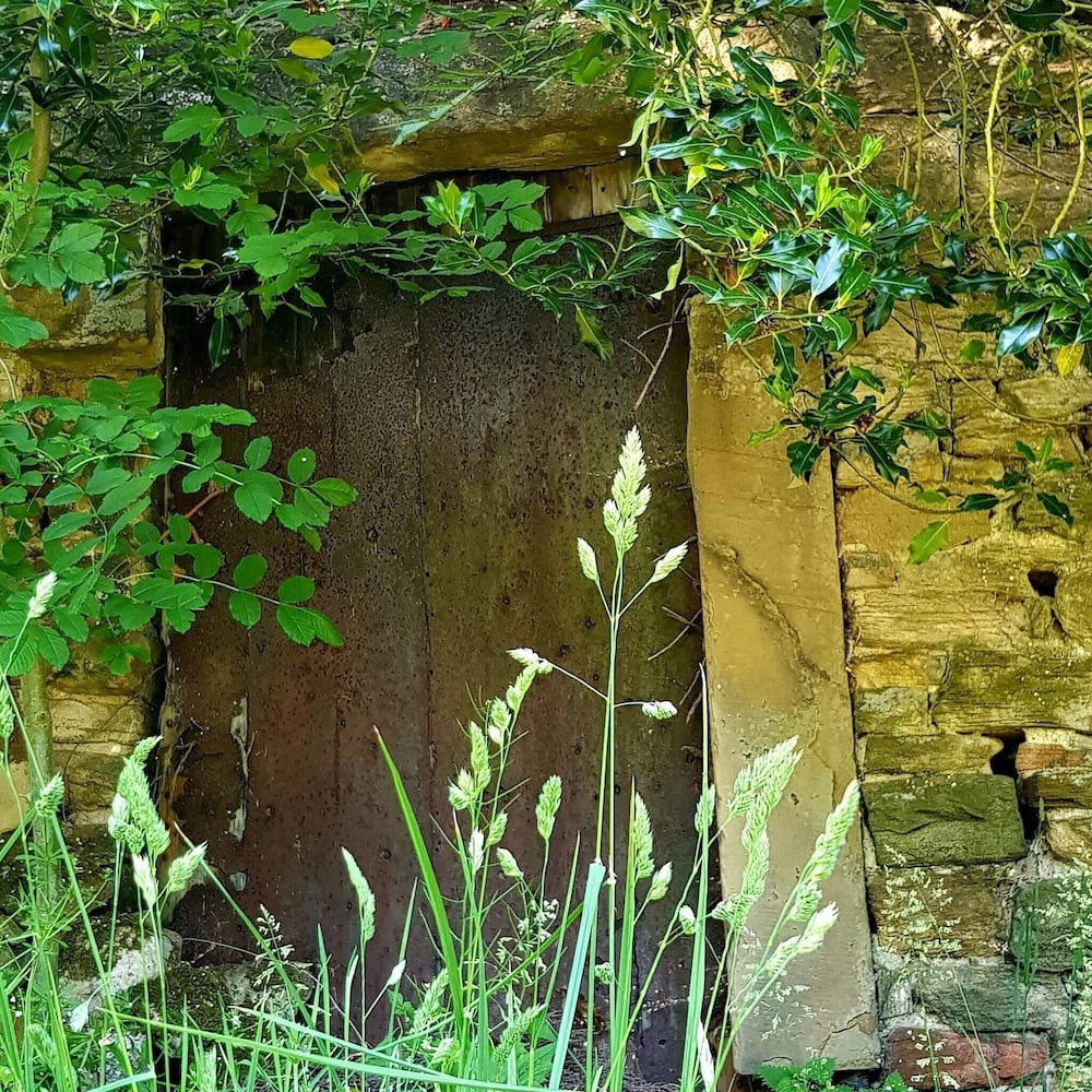 ๐ฟ Quaint Country Cottage With Valley Views, Dog-friendly & Horse-friendly