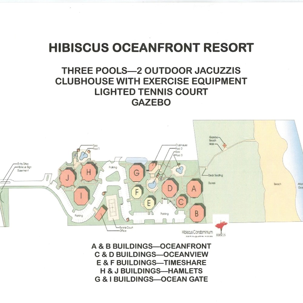 Hibiscus H104 in St Augustine