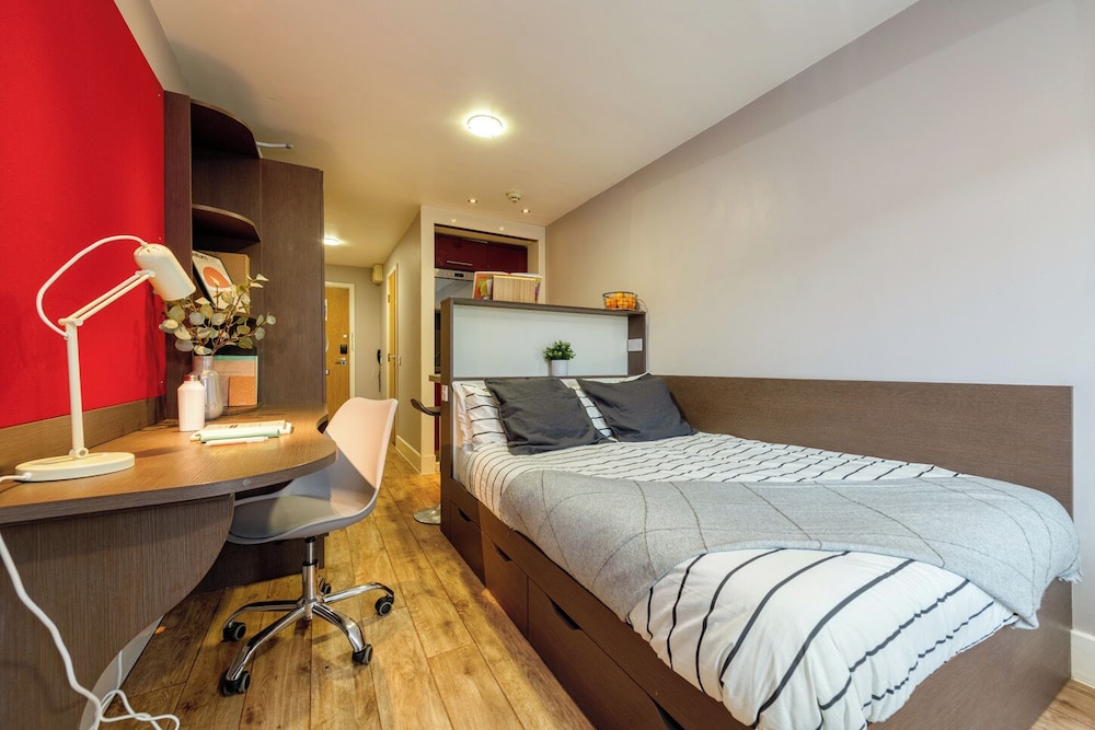 Student Only Dashwood Studios