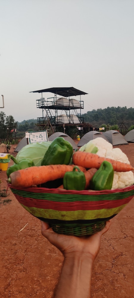 Yuva Yatri Campsite