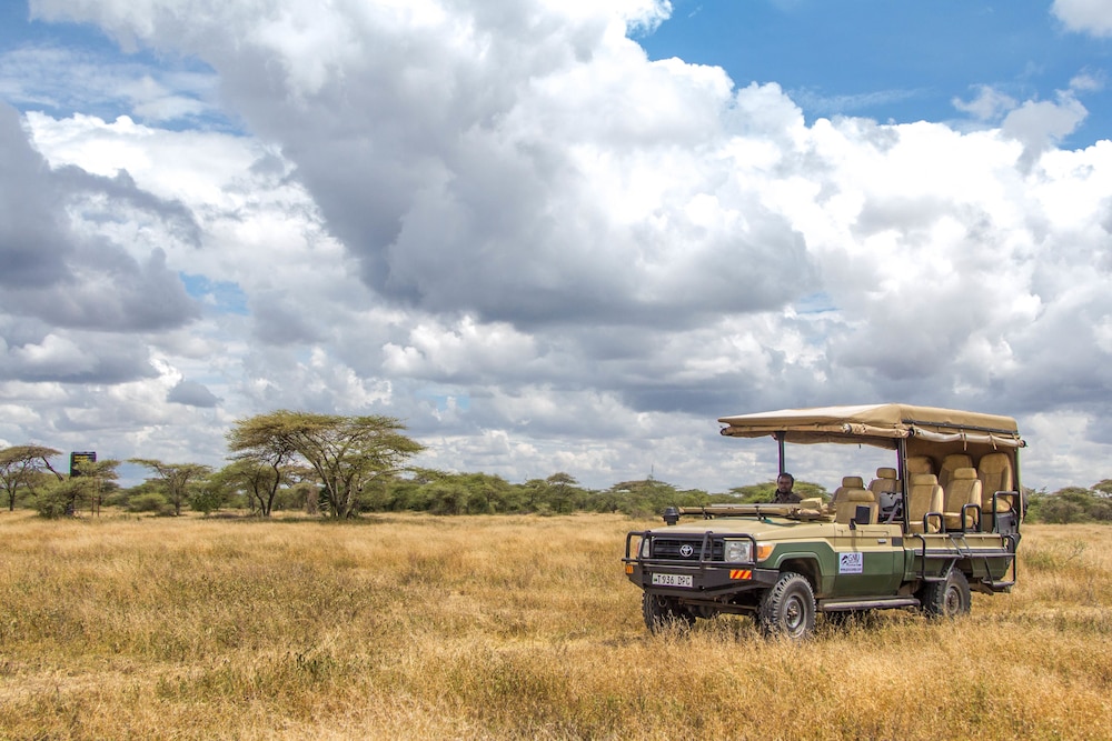 Gnu Ndutu Camp