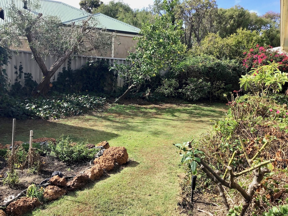 Discover the Charm of Hakea Haven