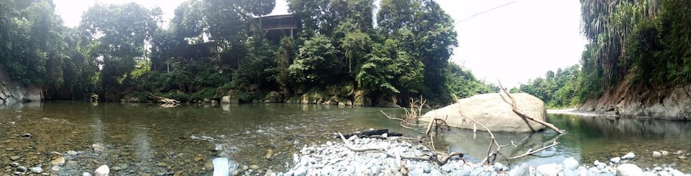 Green Lodge Tangkahan