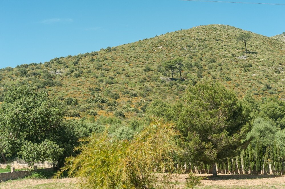 Villa Bona Vista in Mallorca
