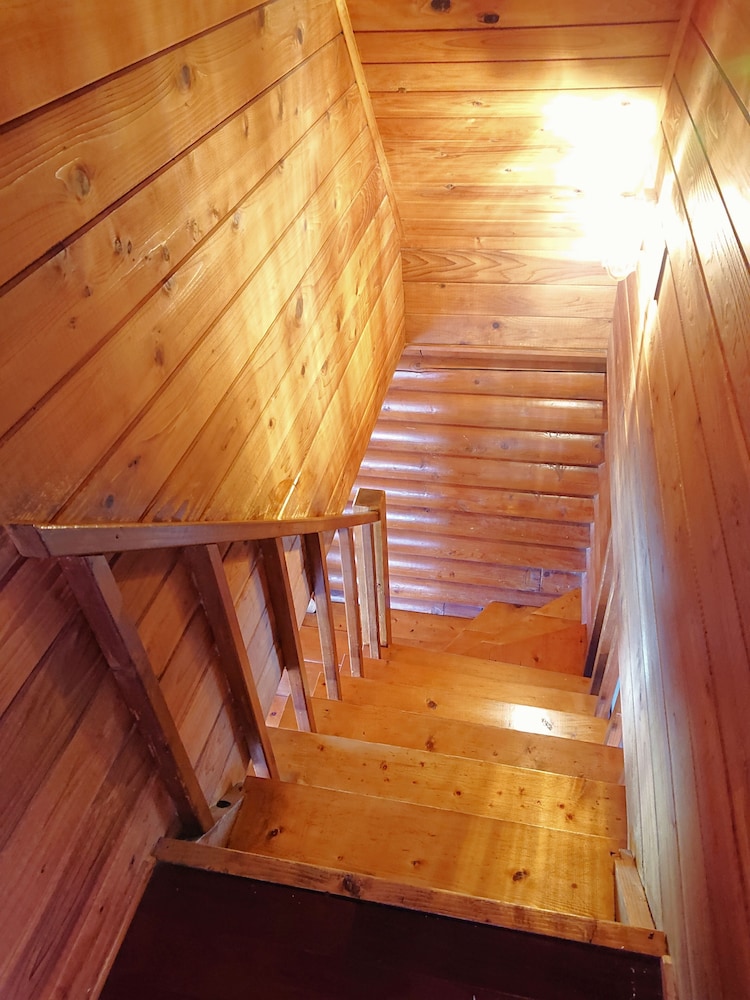 Photo 38