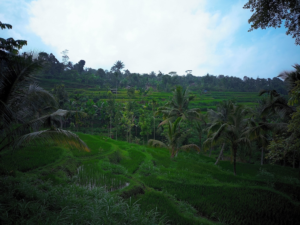 Tetebatu Valley Bungalows