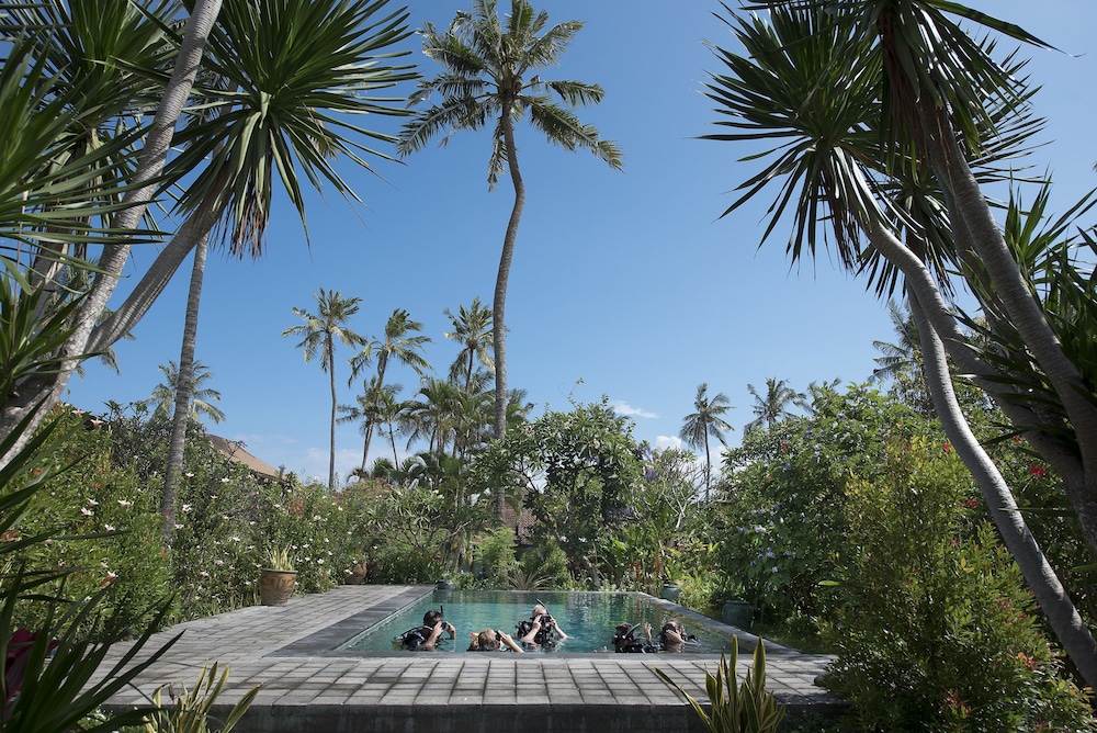 Lotus Bungalows