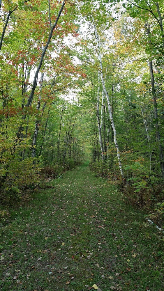 Shire In The Woods