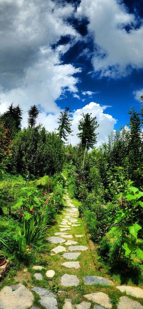 Talai ghar Farmstay Shimla