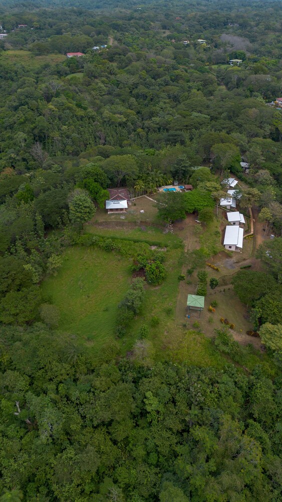 Tarcoles Birding Lodge