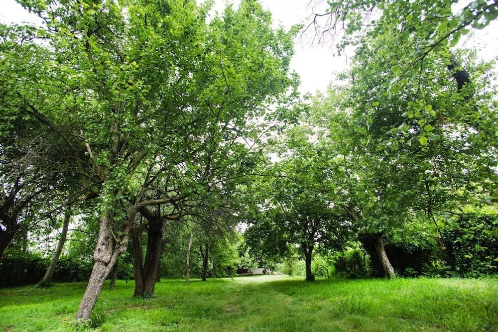 Oykum Villa Sapanca