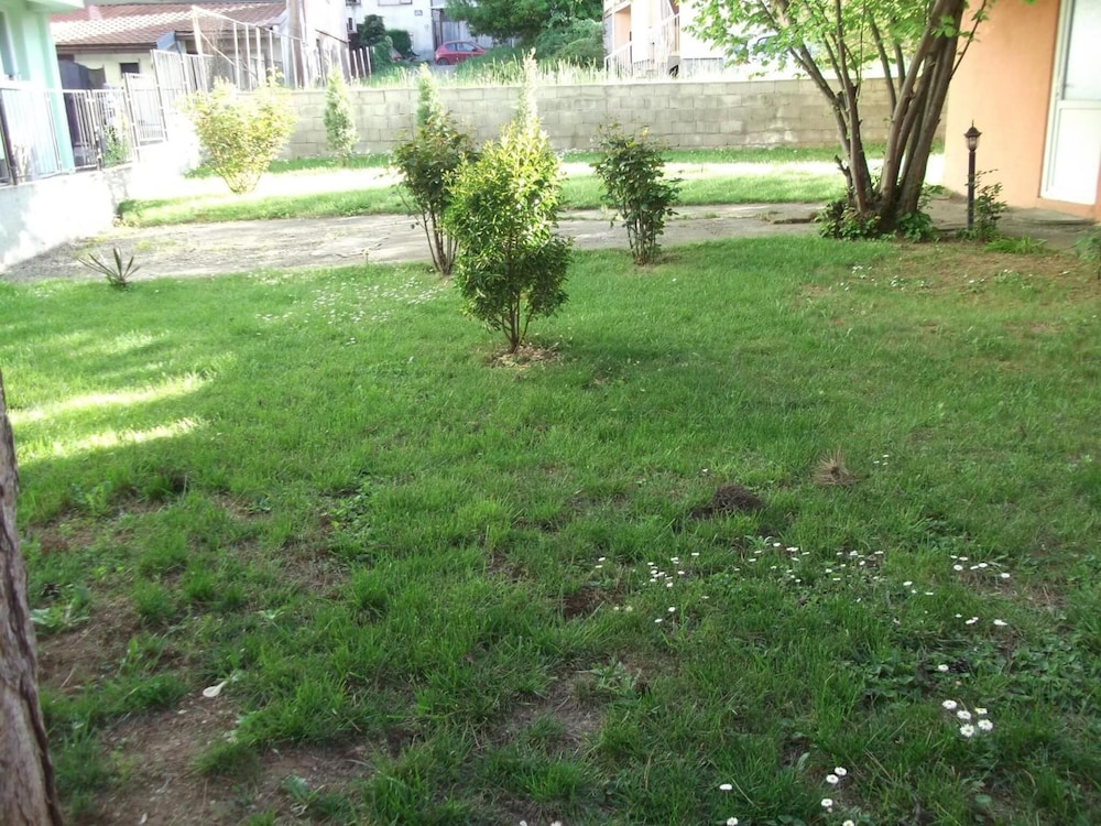 Photo 39