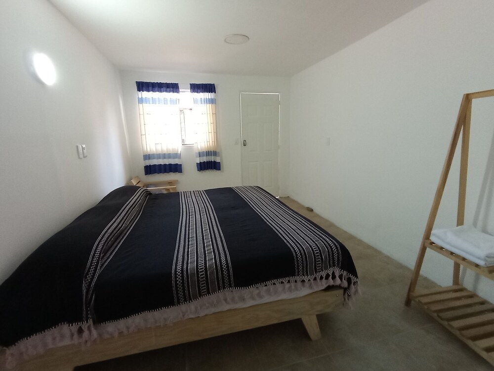 Iguana Co-living