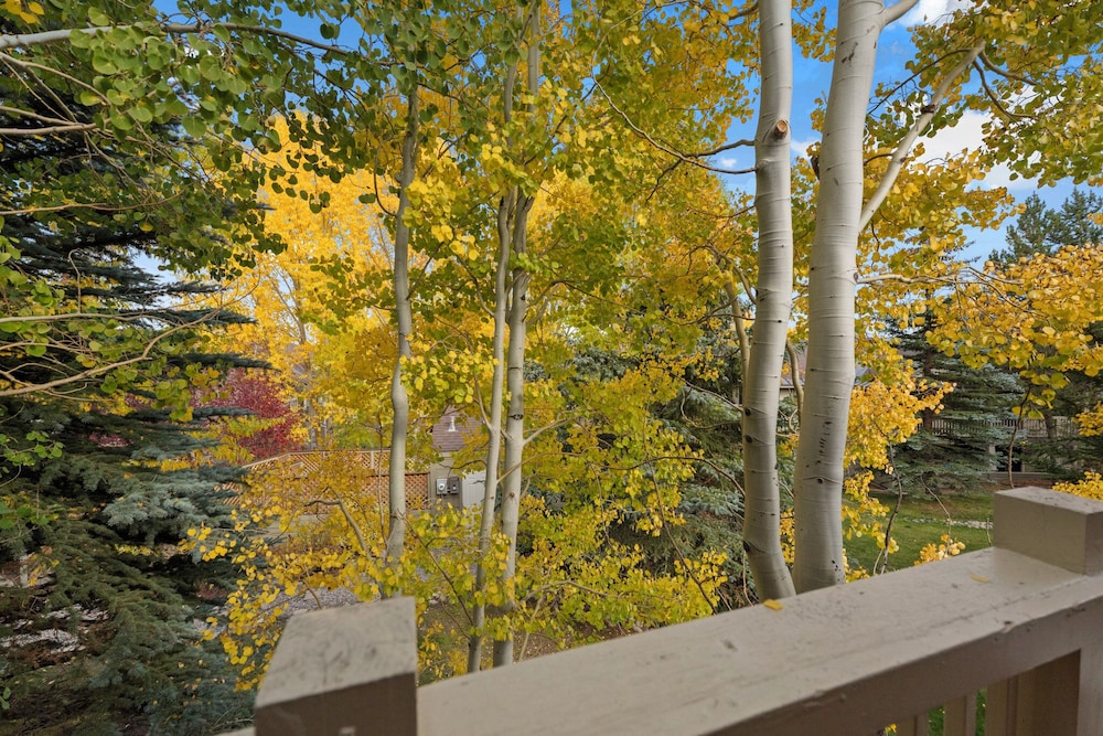 Prospect Point Townhomes #202c