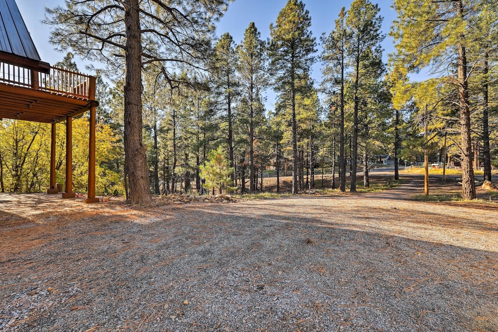 Secluded Flagstaff Apartment on 4 Acres w/ Deck! view 4
