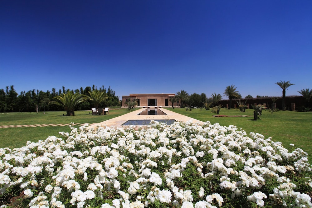 Pavillon Terra ababila