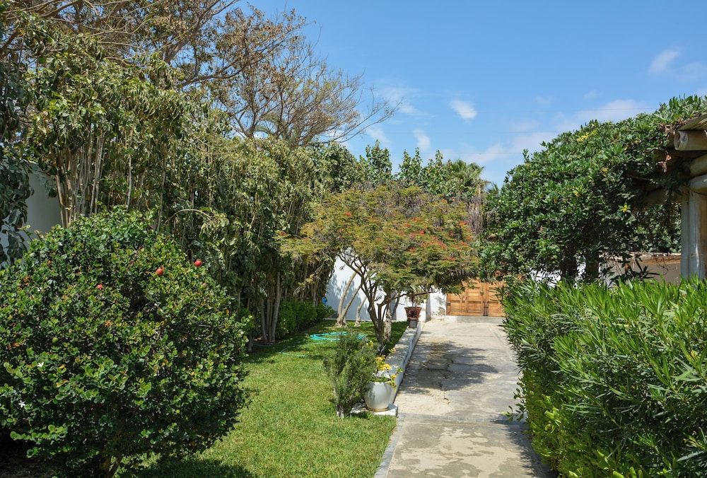 Casa Paracas by Wynwood House