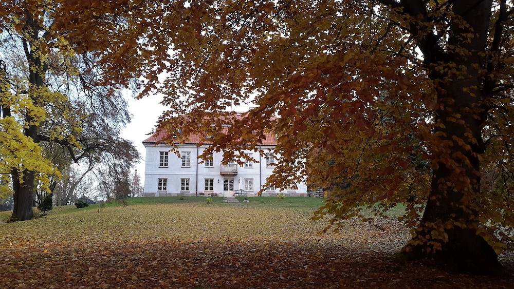 Dwór Dawidy