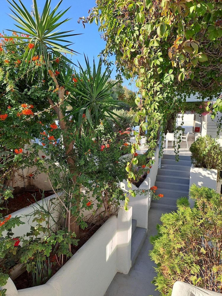 Stratos Studios & Apartments, photo 32