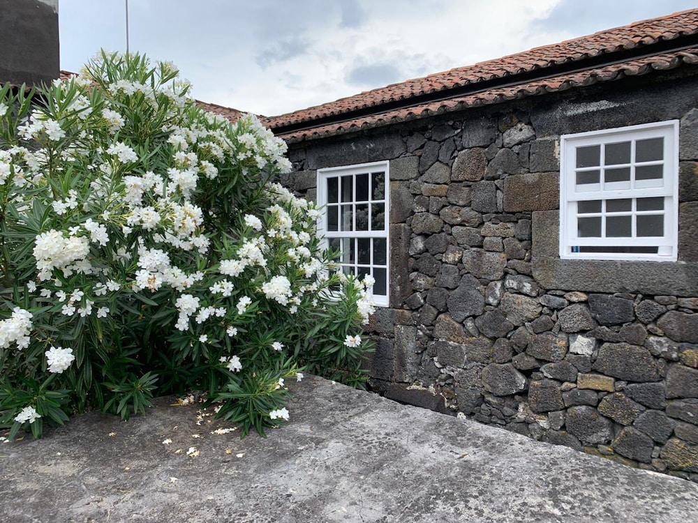 Casa das Barcas view 2