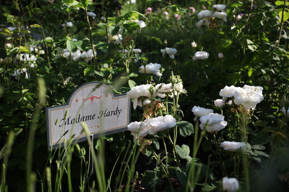 Garden Resort & Spa San Crispino