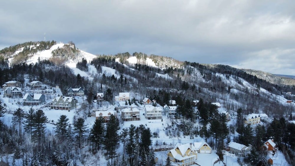 Sommet- Pet Friendly- Spa- SKI IN SKI OUT St-c me