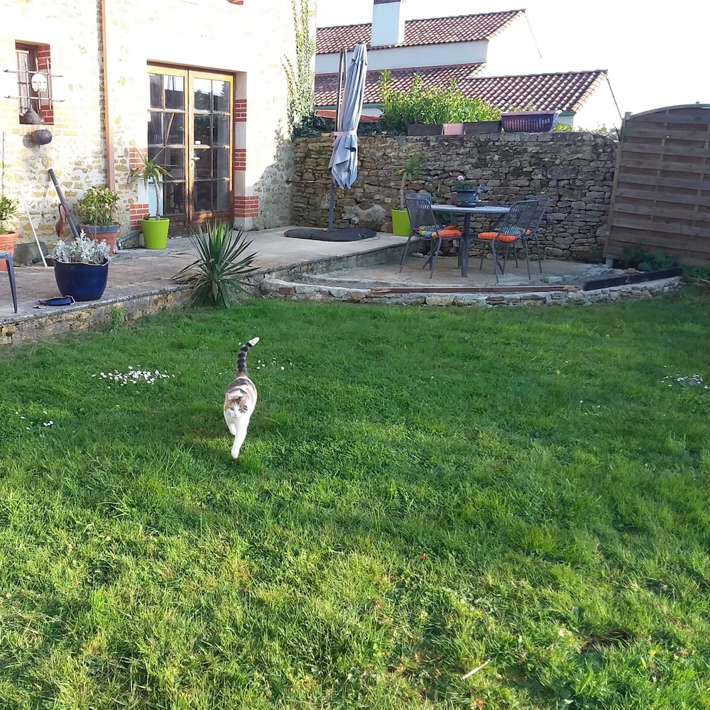 Photo 47
