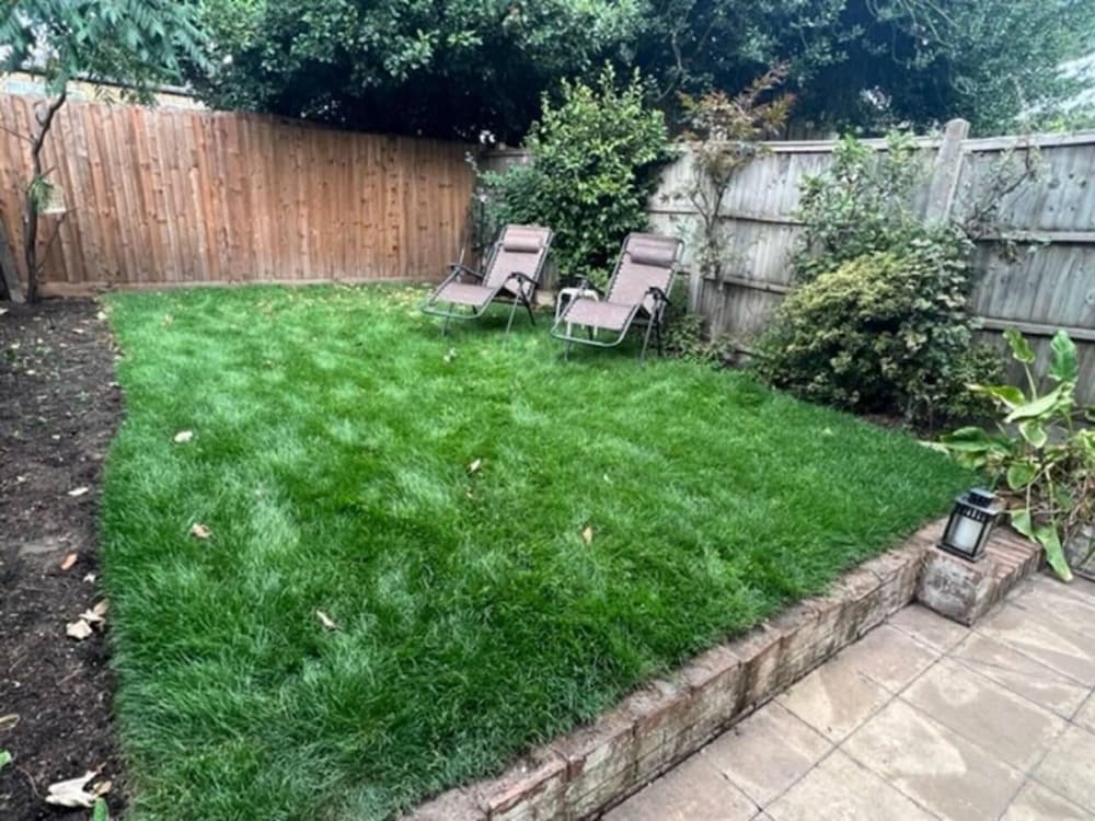 garden