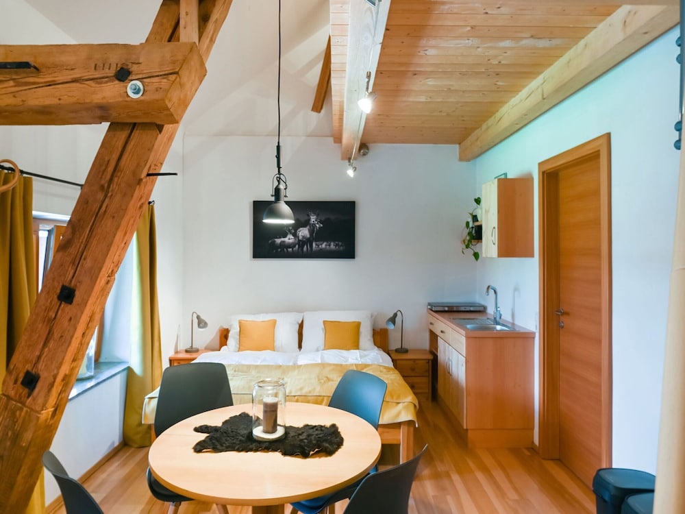Loft-like Apartment With Swimming Pond