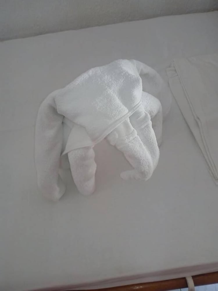 Photo 30