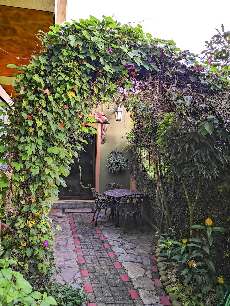Casas del Toro Monteverde