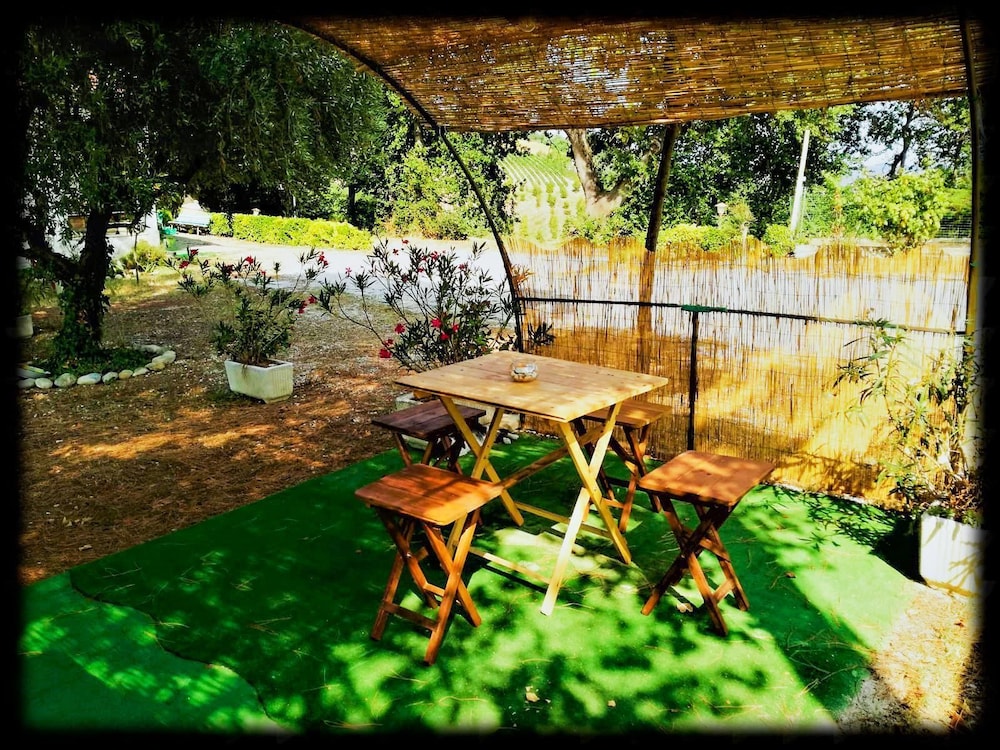 Photo 11