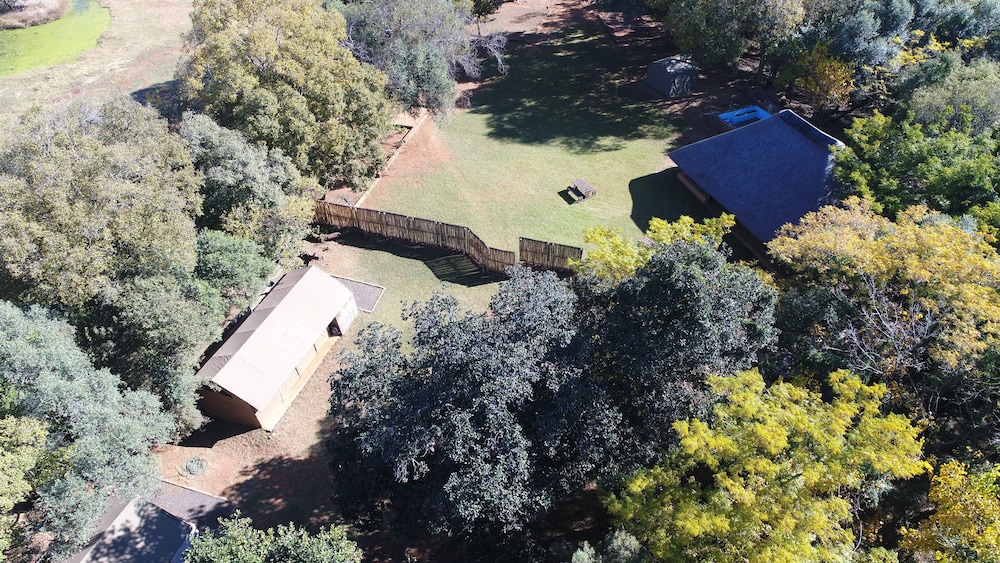 Harties Is Africa