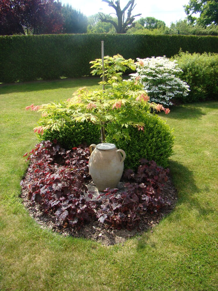 Photo 24