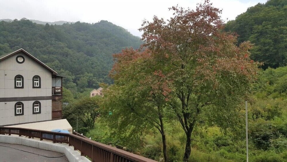 Haena Pension