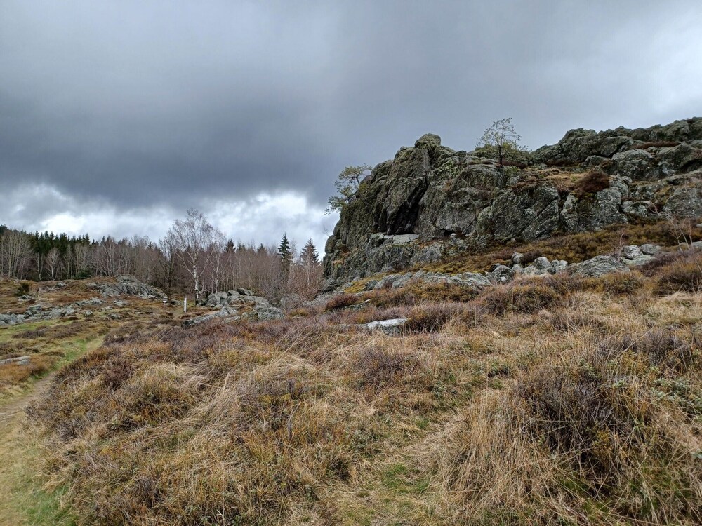 Photo 27