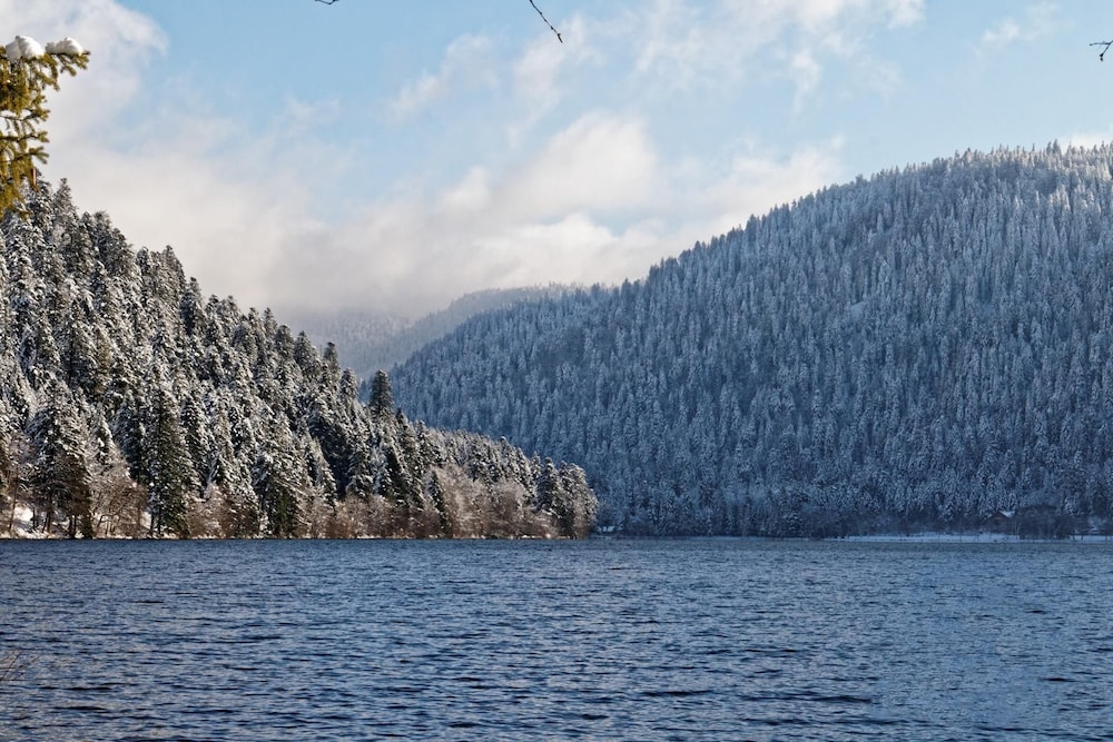 Photo 145