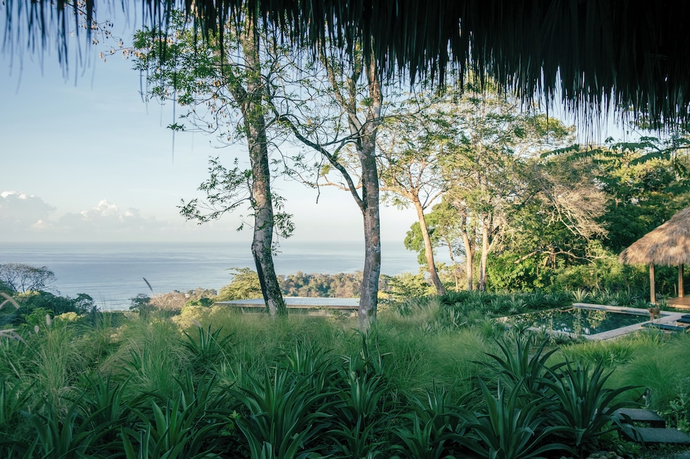 Thea Resort