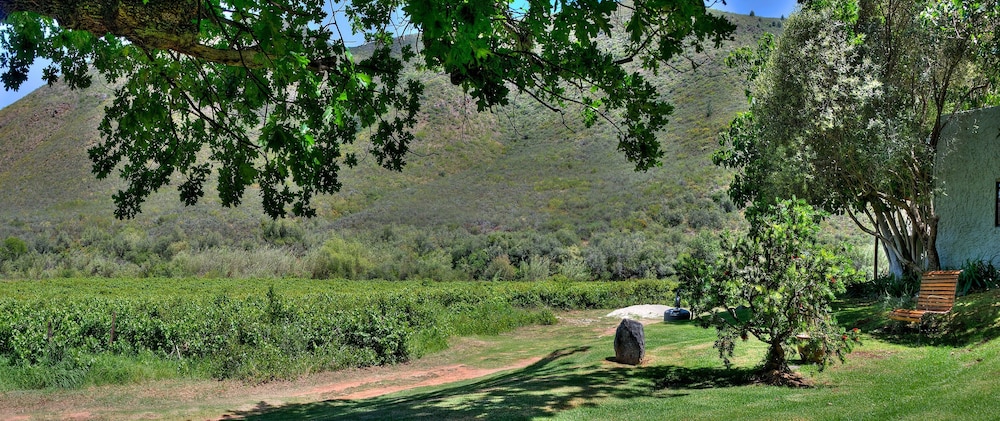 AfriCamps at Pat Busch Mountain Reserve