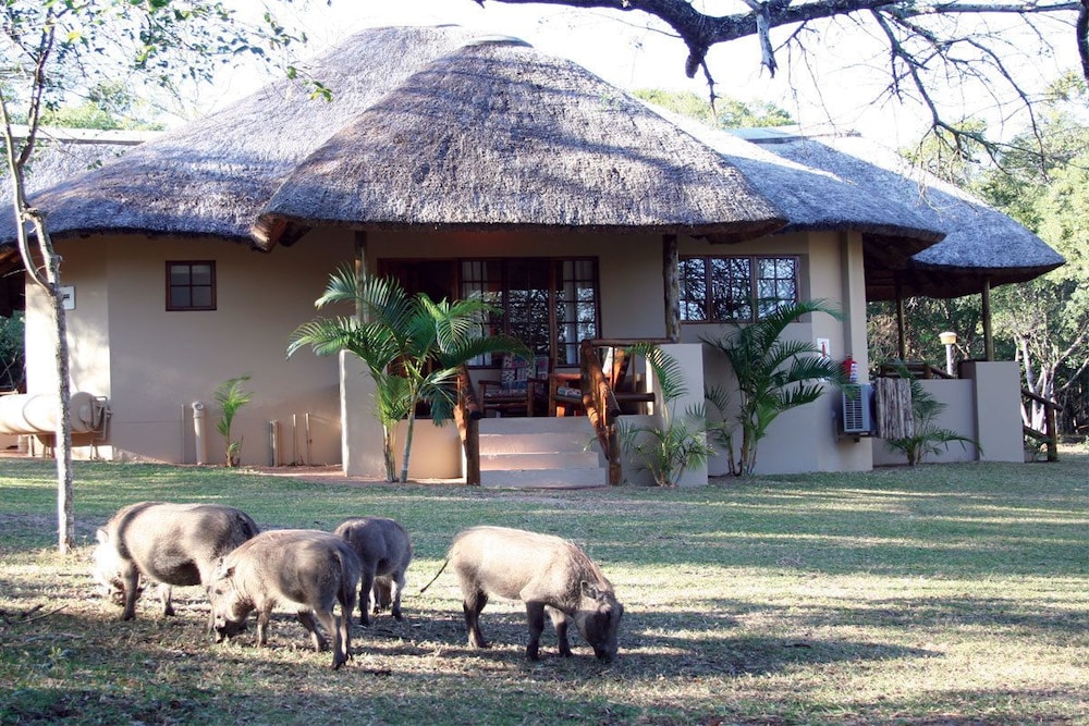 Bonamanzi Game Reserve
