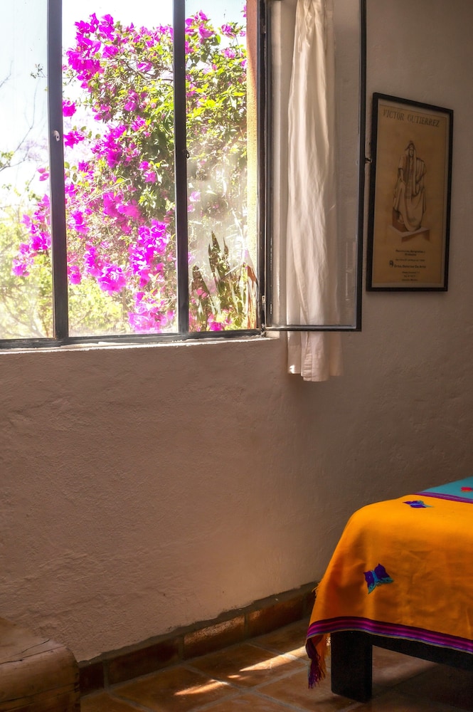 Posada los Olivos