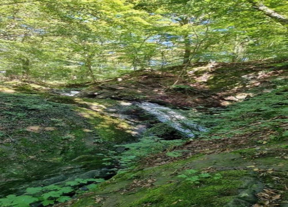 Harz-kurzurlaub in Lonau